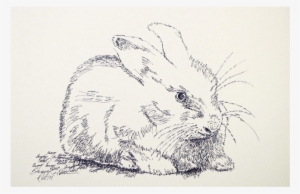 Portrait By Stephen Kline - Sketch #2860676