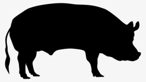 Silueta De Cerdo Png #2860703