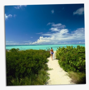 Ashley Greene 4 - Turks And Caicos #2860886