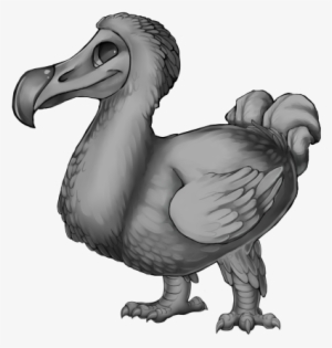 Free To Use Bird Base #2861883