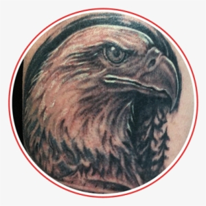 Wolf's Den Services - Bald Eagle #2862187