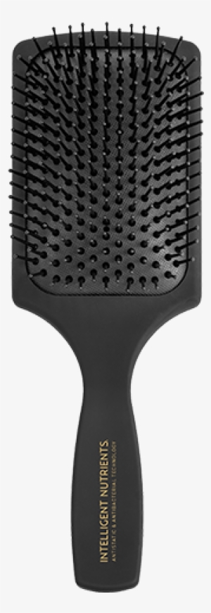 Mens Paddle Brush #2863820