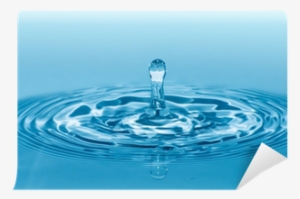 Dr. Johns H2o Water Purification #2864153