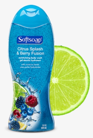 Softsoap Moisturizing Body Wash #2864346