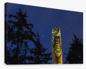 A Large Totem Pole Lit Up At Night In Sitka National - Totem Poles Totem Night #2864529