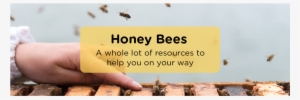 Honeybee #2866316