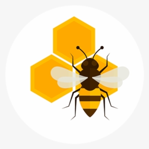 The Bees Do All The Hard Work Pollenating The Plants - Honeybee #2866393 The Bees Do All The Hard Work Pollenating The Plants - Honeybee #2866393