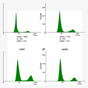 Clip Art Black And White Adenoviral Vector Aav - Diagram #2866731