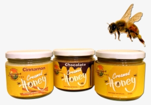 Sonoran Desert Wildflower Creamed Honey #2867069