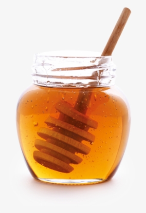 Honey Sticker - Medical Value Of Honey #2867570