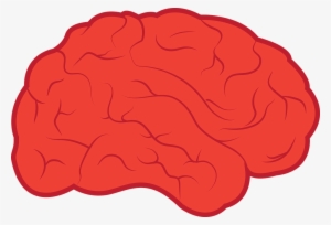 Mind Clipart Simple Brain Pencil And In Color Mind - Neurologie Png #2867571