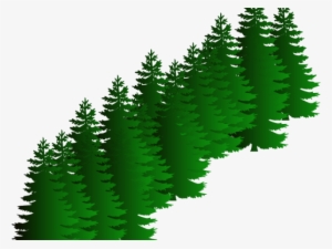 Fir Clipart Evergreen Tree - Pine Trees Black And White #2867700