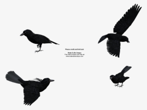 Free Stock Clipart - Clip Art #2868039