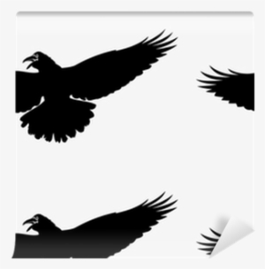 Raven Cartoon Flying #2868402