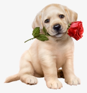 Share This Image - Dog And Rose #2868489