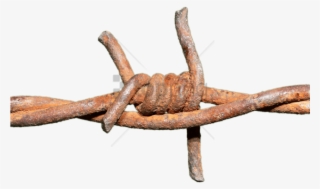 Barbed Wire Transparent Png #2868969