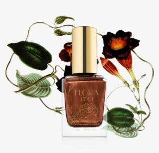 4flora 1761 Nail Lacquer In Chocolate Cosmos, $16 #2869868