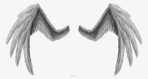 Angel Wings Side Profile Set Of 4 Gold Dresden Wings - Wings For Photoshop Png #2870870