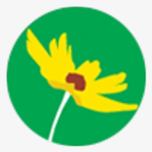 Florida Wildflower - Florida Wildflower Foundation #2871555