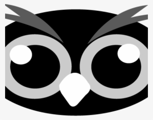 This Item Is No Longer Available For Sale - Tillandsia #2871620