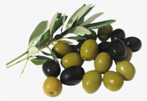 Olive Oil #2872035