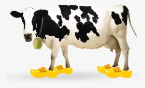 Spanish Queen Green Olives With Dutch Gouda & Cumin - Unearthed Olives With Gouda And Cumin #2872539