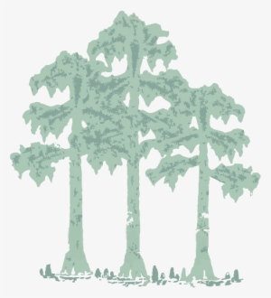 Renovations New Home Construction - Cypress Construction Inc #2872592