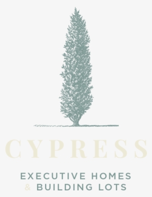 Juniper #2872595