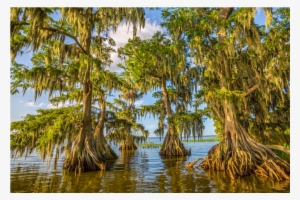 Poster: Goodman's Lake Istapoga 2, 61x41cm. #2872620