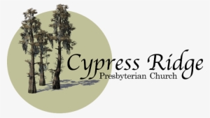 6230 Cypress Gardens Blvd, Winter Haven, Fl - Lodgepole Pine #2872735