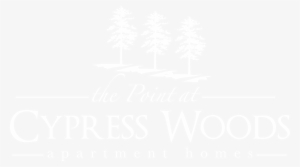 The Point At Cypress Woods Apartments #2872755