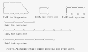Since The Eldest Son Loves Olives He Wants To Pick - Diagram #2872823