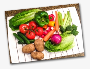 It Is Not A 'fad Diet' Such As The Atkins Diet Or The - Dash Diet Png #2873137