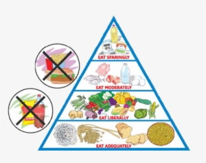 Adopt A Balanced Diet - Balanced Diet And Malnutrition #2873683