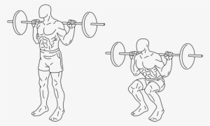The Parallel Back Squat - Squats Png #2873963