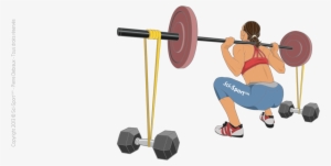 Squat With Elastic Bands - Squat #2874207