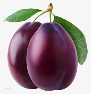 Plum Png Image - Plum Png #2875340