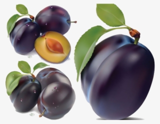 Plum Png Image - Plum Png #2875436