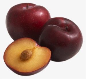 Plum - Fruits Plum #2875528