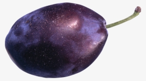 Plum Png Image - Purple Plum Png #2875594