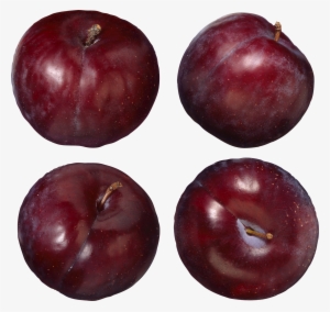 Variedades De Ciruelas Rojas #2875687