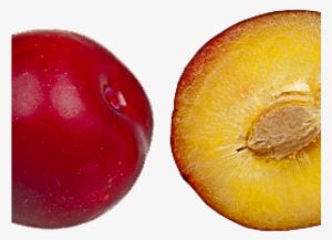 Java Plum Clipart Png - Prunes Fruit In Tamil Name #2876065