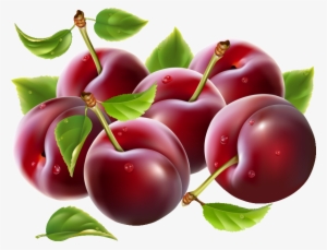 Plum Clipart Prunes - Prunes Clipart #2876136