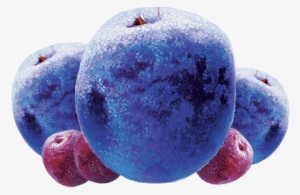 Seedless Fruit #2876516