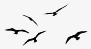 Brushes Bird Flying - Portland Head Light #2877089