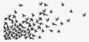 1966 - - Blackbird Vineyards #2877294