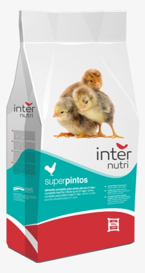 Internutri Seeds Pintos 3d - Pigeons And Doves #2877333