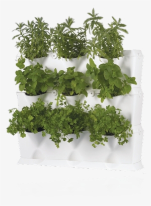 The Garden Wall In The Kitchen - Earthbox Minigarden Germination Station; White #2877510