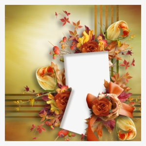 Garden Roses #2878310