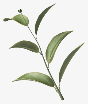 Login - Portable Network Graphics #2878379